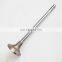 Heavy Duty Truck Diesel Engine Spare Parts Intake Exhaust Valve