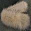 Clothes fur collar artificial fur fox fur raccoon dog fur down coat coat fur collar cap strip