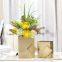 Modern Simple Light Luxury Electroplate Gild Gold Square Ceramic Vase For Shopping Mall Decor