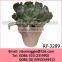 Belly Shape Professional Wholesale Ceramic Flower Vase and Flower Pot