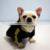 New 2021 Comfortable Luxury Brand Cheap Korean Summer Pet Dress Wholesale Dog Clothes
