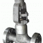 Pressure Seal Globe Valve