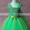 Fever Inspired Pretty Dress Elsa and Anna girl dress girl tulle tutu dress birthday dress