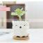 Home Decor Accessories Flower Pots Bulk Ceramic Plant Cute Elephant White Planters Pot Small Mini Plants Animal Dog Planter