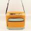 Fancy Design Quality Insulated Lunch Cooler Bag Zero Degrees Inner Cool Lunch Cooler Bag With Removable Window