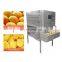 Factory industrial PLC full automatic apple kivi mango peel skin removing equipment orange lemon peeler fruit peeling machine