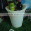 LED Ice bucket with lights and remote control B101E