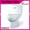Economic shower room Washdwon wall mounted one piece Toilet