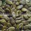 GWS Pumpkin Seeds Kernels,,AAA Grade
