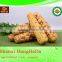 china products yellow corn