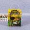 fancy cartoon design gift plastic bag pp packing bag with handle plastic christmas gift bags