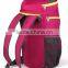 Hot Products 2015 Backpack Foldable Travel Bag for Sale