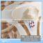 2016 Homecare cervical spine exercises for neck pain relief
