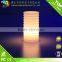 PE plastic color changing led table lamp/led decorative light/led bedside lamp for baby gift