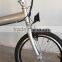 lionhero 20"aluminum folding electric bike