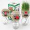 Grass Head Toy.grass Doll Toy.mini Plant Toy