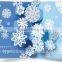 Lovely Christmas card greeting card new year card printing