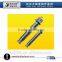 chemical anchor bolt