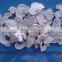Frozen dried mushroom