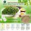 Natural Healthy Supplement 98% Polyphenols Green Tea Extract for Instant Drinking Tea
