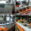 UPVC Window Machinery/PVC Profile Making Machinery