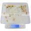 Sliver 200g x 0.1g Digital Jewelry Precision Scale w/ Piece Counting Balance Portable