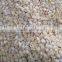 Eucalyptus Granulate Machine, Eucalyptus Granulating Machine, Eucalyptus Granulation Machine