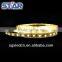 Outdoor led strip Lighting 5050 epoxy glue waterproof IP65 60LEDs/m 300LEDs/roll DC12V white color with white FPC led strip