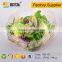 Disposable Plastic Salad box with lid