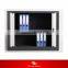 Bookcase Steel Swing Door File Cabinet for Office Organizer