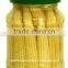 Thai Baby Corn in Brine 2015 Crop