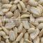 Blanched Peanuts Splits suppliers