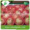 Hot sale Chinese red fresh gala apples