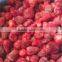 IQF Frozen Strawberry class 1