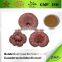 Extraction Polysaccharide Reishi Mushroom P.E.