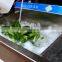 WASC-10 Leaf Vegetable Washing Cleaning Processing Machine