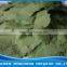 Plastic Bucket Green aquarium food Spirulina Flakes 10L