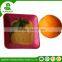 Professional biochemical fertilizer for plant growth for fruit