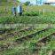 Garden or farm drip irrigation systems