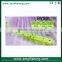 Bass fishing sports soft lure single tails bait
