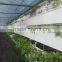 Hydroponic Gutter With Food Grade