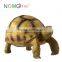 Nomo non-toxic super simulation cute hermann's tortoise model