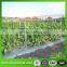 High Quality Climbing Plant Support Net