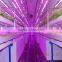 Agricultural hydroponic lettuce cultivation greenhouse