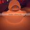 high quality waterproof changing colors Color and Electric Power Source LED duck Light