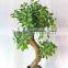 2017 artificial ficus bonsai trees