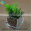 Square glass vases for homedecoration