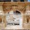 Home living room decoration marble fireplace mantel with lion