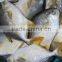 golden pomfret frozen sea fish