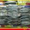 FROZEN LAYANG SCAD (MUROAJI) WHOLE ROUND